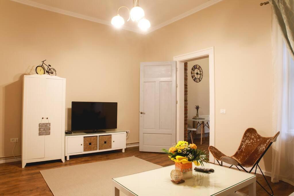 Charming Apartment In Historical City Center Timisoara Exterior photo